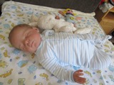 reborn baba